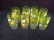 Collection 8 Daisy and Flower Drinking Glasses