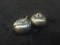 Pair Pewter Apple Salt and Pepper Shakers