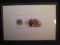 Framed and Matted Watercolor-The Bullfight -2/125 signed not legible