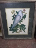 Contemporary Framed and Matted Print-Ardea Alba