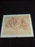 Framed Silkscreen-Tree Branch 2004 by Grover