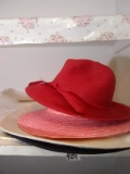 BL-Assorted Ladies Hats