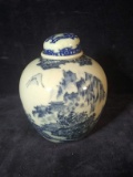 Blue and White Decorative Ginger Jar
