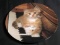 Collectible Plate-Kitten on the Keys by The Crestle Collection