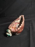 Hand painted Italian Conch Shell Dish