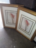 Pair Framed and Matted Prints-Flowers