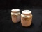 Hand painted Nippon Salt and Pepper Shakers