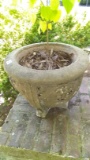 Porch-Large Concrete Planter