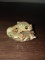 Porcelain and Enameled Pillbox - Frog