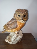 Ceramic Owl Figure