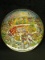 Collector Plate -See Picture for Description