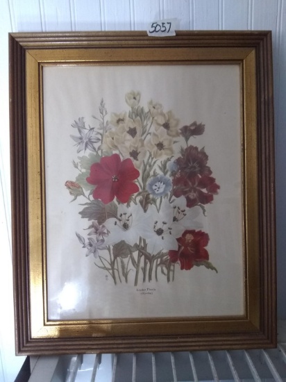 Framed Vintage Print-Loudon Florals-1783-1843