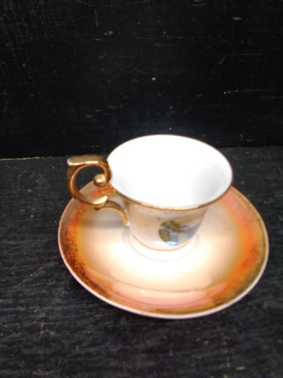 Vintage Tea Cup and Saucer-Germany Lake Scene