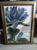 Framed Decorative Print-Le Grace