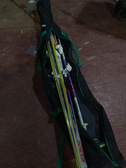 BL-Dynastar Snow Skis