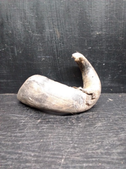 Authentic Ram's Horn