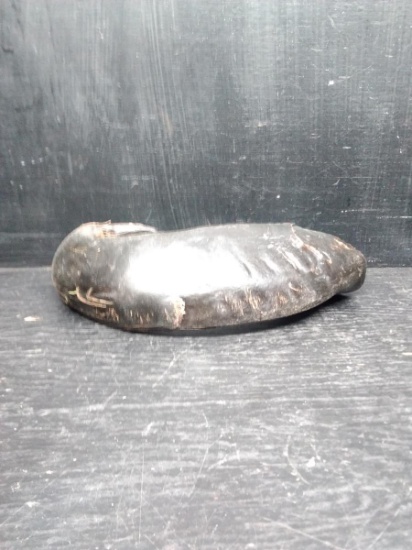 Authentic Ram's Horn