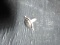 German Silver Ring with Polished Stone-Labradorite size 7