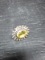 German Silver Ring with Polished Stone-Yellow Peridot Size 7
