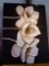 Acrylic on Canvas-Flower