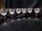Collection 6 Crystal Etched Stem Glasses