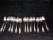 (13) Sterling Silver Spoons -Duchess Tudor Plate Design      21.2 grams each (x13)