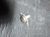 German Silver Ring with Polished Stone-Labradorite size 7