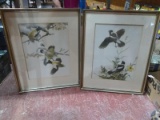Pair Vintage Framed Prints-Birds