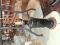 Vintage Grape and Pear Glass Table Lamp