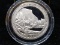 PDS National Parks First Year Quarter-2010 Yosemite