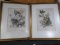 Pair Framed Prints-Morning Dove & Robin