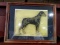 Framed and Matted Print- Doberman Pinscher 1 by Amy Scanlon Print #4  with COA