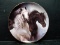 Danbury Mint Collector Plate-Set Free