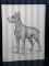 Unframed Pencil Drawing-Doberman 1/1000 by Rosario S Morgano