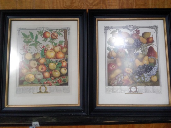 Pair Framed Anniversary/Birthday prints-May & November