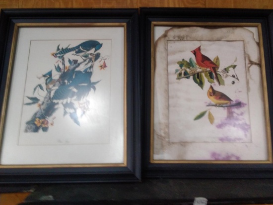 Framed and Matted Bird Prints (2) Blue Jay & Cardinal