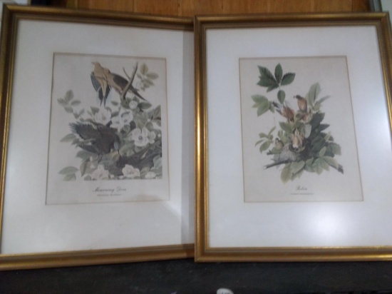 Pair Framed Prints-Morning Dove & Robin
