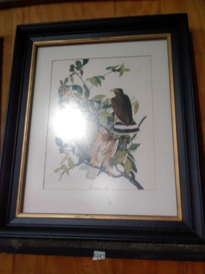 Pair Framed Bird Prints-Duck & Hawk