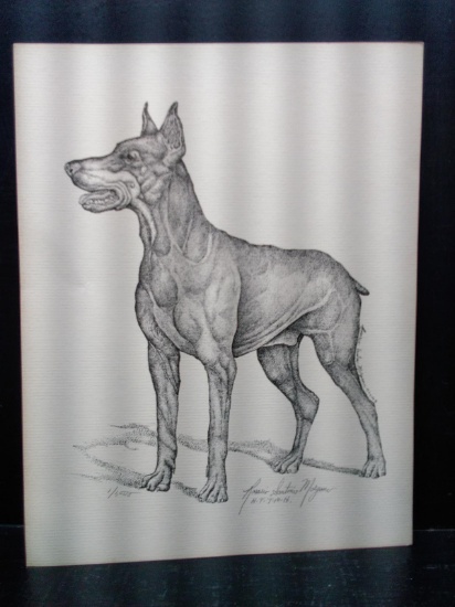 Unframed Pencil Drawing-Doberman 1/1000 by Rosario S Morgano