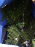 BL-Christmas Tree with Tote