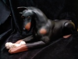 Resin Dobermann Pinscher with Bone Figure