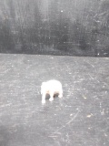 Elephant Home Decor-Ivory