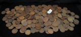 242 MIXED DATE INDIAN HEAD PENNIES