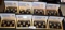 EIGHT GOLD EDITION UNOPENED 50 STATES QTR SETS
