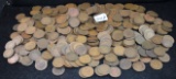 388 MIXED DATES AND MINTS INDIAN PENNIES
