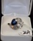 ADIES PLATINUM DIAMOND & SAPPHIRE RING