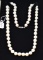 LOVELY LADIES PEARL & 14K WHITE GOLD NECKLACE
