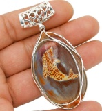 DOLPHIN COWRIE SHELL PENDANT