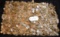 5000  MIXED DATES & MINTS LINCOLN WHEAT PENNIES