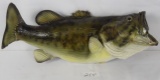 TAXIDERMY - VERY LARGE MOUTH BASS